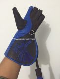 Falconry Embroidery Gloves
